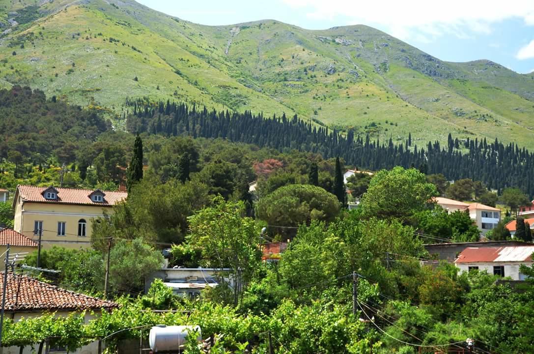 Hotel Shkodra Lake Shiroka Bagian luar foto
